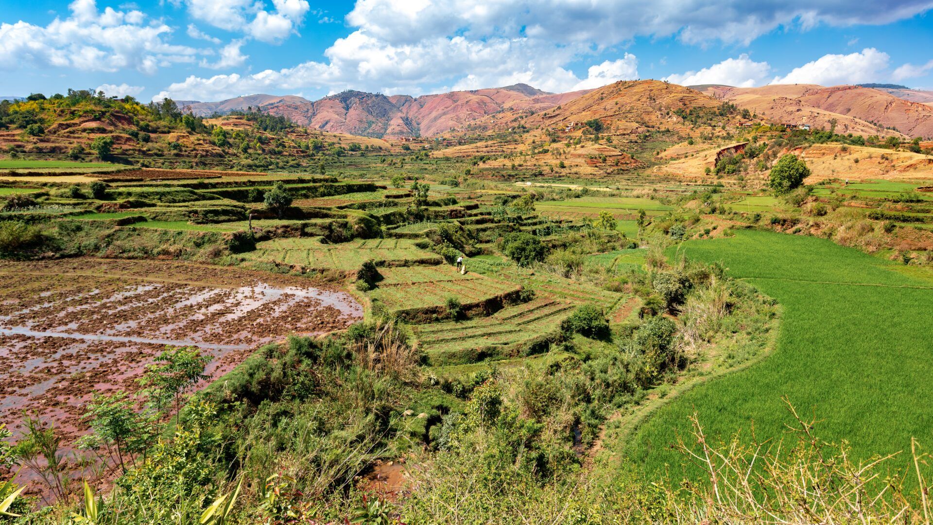 Central Madagaskar Landskaber
