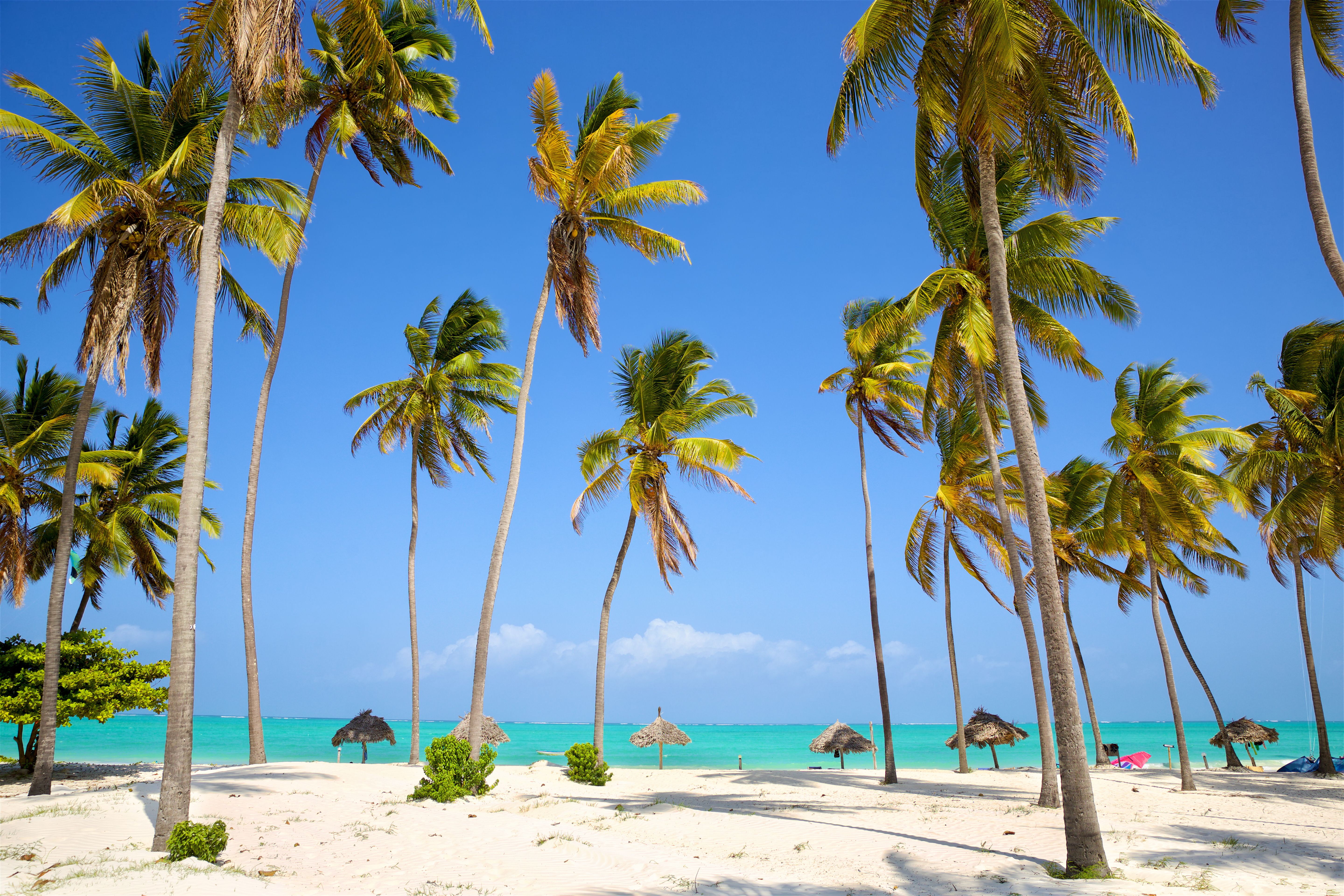 Flotte strand med hvide sand og palmer på Zanzibar » Tembo Travel Flotte strand med hvide sand og palmer på Zanzibar