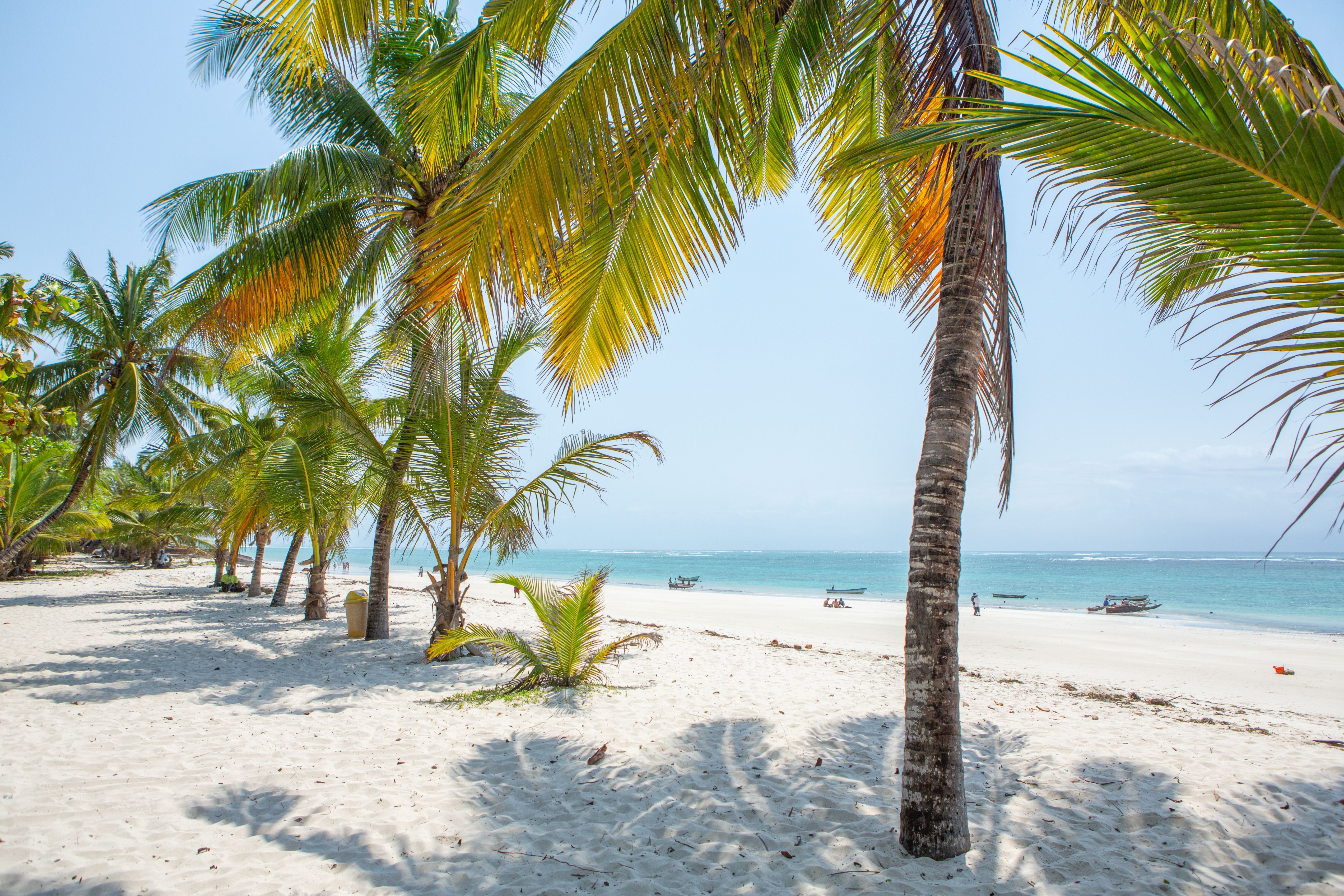 Diani Beach med palmer Mombasakysten Kenya