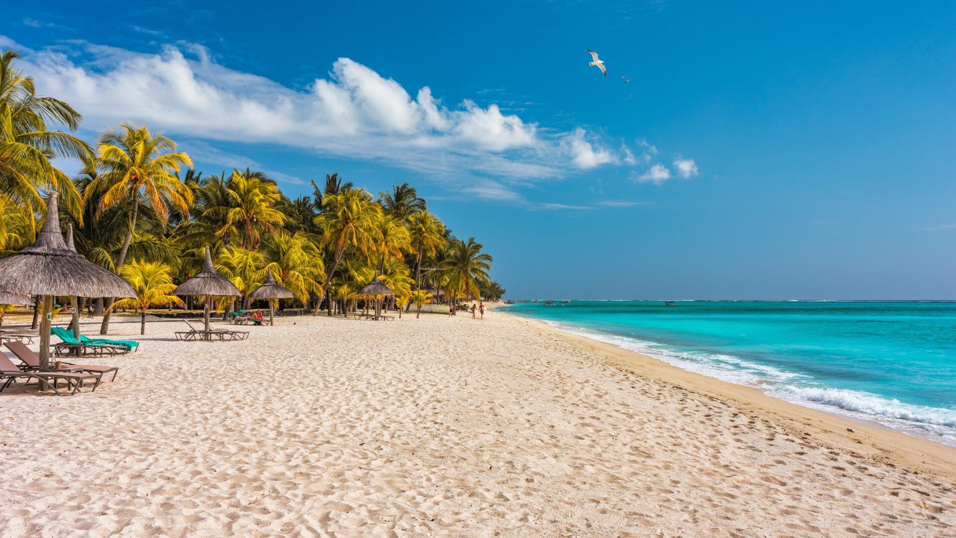 Flotte strand på Mauritius