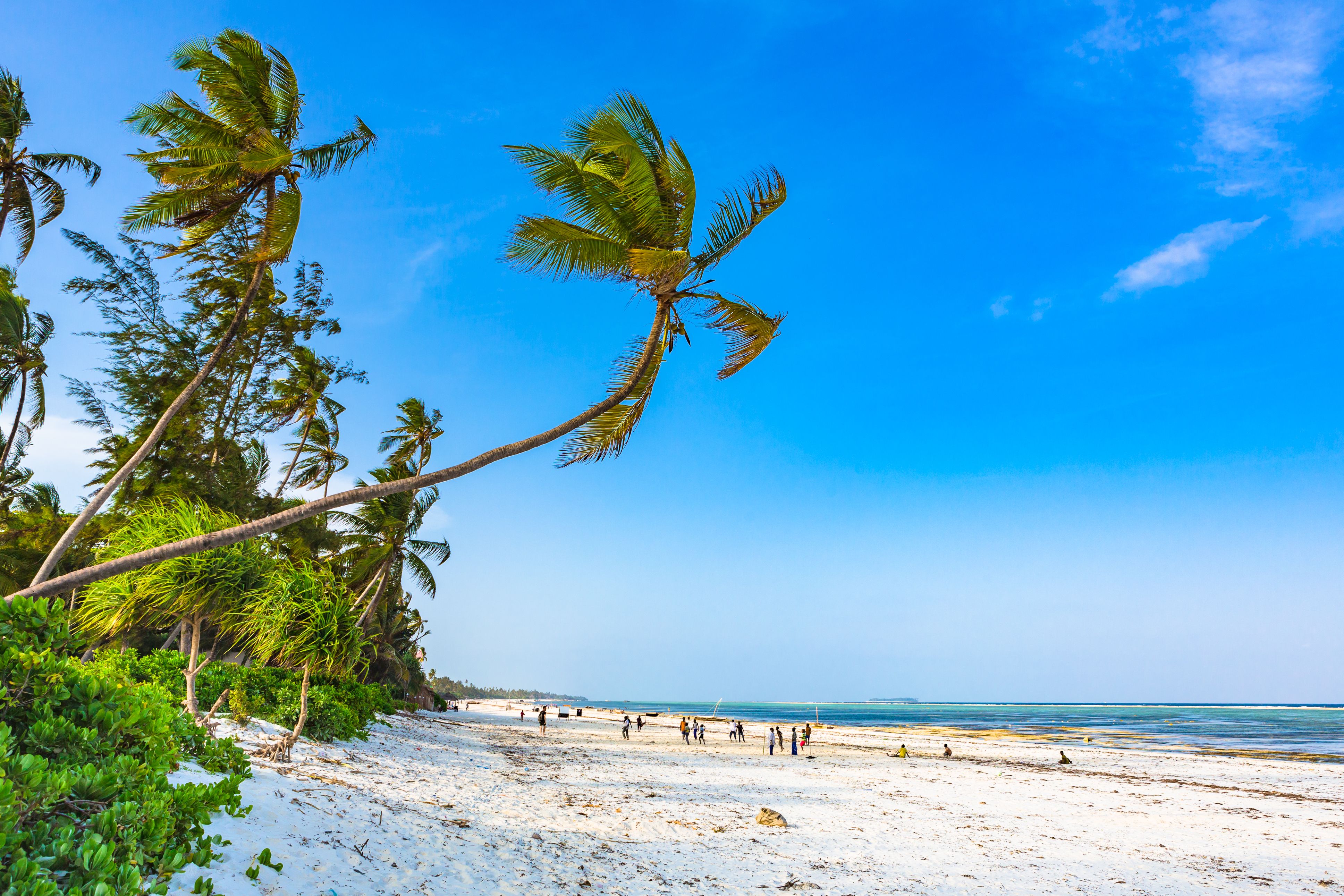 Matemwe Beach på Zanzibars nordøstkyst – rolig strand med hvidt sand, palmer og klart vand ud mod Det Indiske Ocean. » Tembo Travel Matemwe Beach på Zanzibars nordøstkyst – rolig strand med hvidt sand, palmer og klart vand ud mod Det Indiske Ocean.