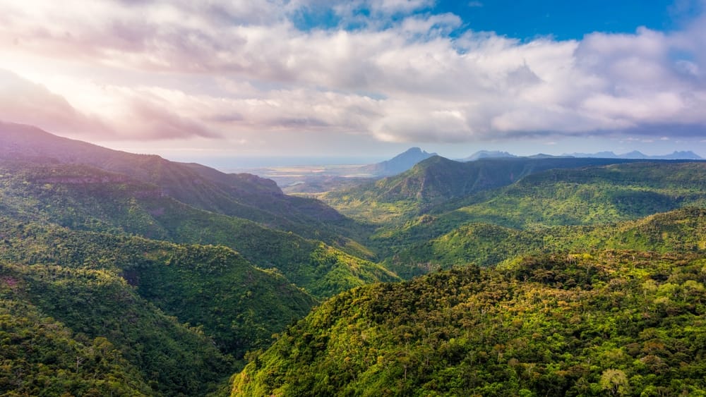 Udsigt over Black River Gorge Nationalpark nær Chamarel på Mauritius – frodig tropisk natur med dybe kløfter og grønne skove. » Tembo Travel Udsigt over Black River Gorge Nationalpark nær Chamarel på Mauritius – frodig tropisk natur med dybe kløfter og grønne skove.