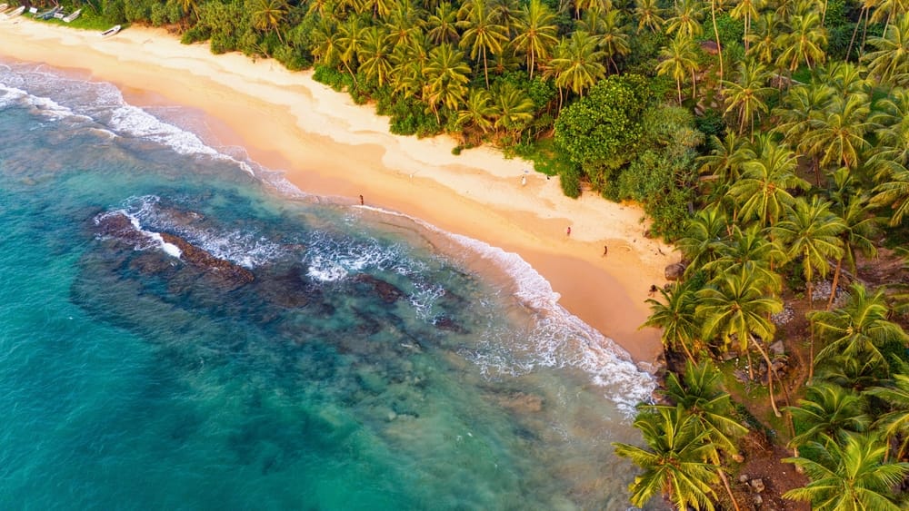 Roligt strandlandskab i Sri Lanka under gyldentimes lys. Den fredelige kystlinje med blødt sand, palmer og varme solstråler skaber en idyllisk atmosfære – perfekt til afslapning, rejser og naturoplevelser.