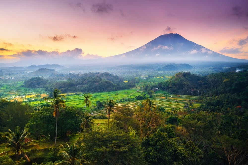 Landskabsudsigt over Jatiluwih-risterrasserne i Penebel-distriktet, Tabanan, Bali – frodige grønne terrasser og traditionelt balinesisk landskab.