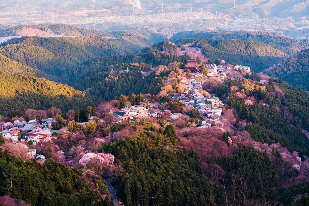 Fra udsigtspunktet over Mount Yoshino ses en traditionel landsby indrammet af tusindvis af blomstrende kirsebærtræer.