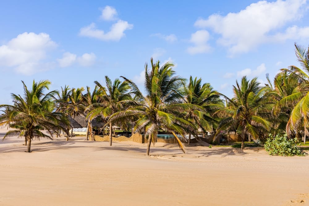 Kenya byder på betagende hvide sandstrande ved Malindi, Diani, Mombasa og Kwale – et sandt paradis ud til Det Indiske Ocean Kenya byder på betagende hvide sandstrande ved Malindi, Diani, Mombasa og Kwale – et sandt paradis ud til Det Indiske Ocean