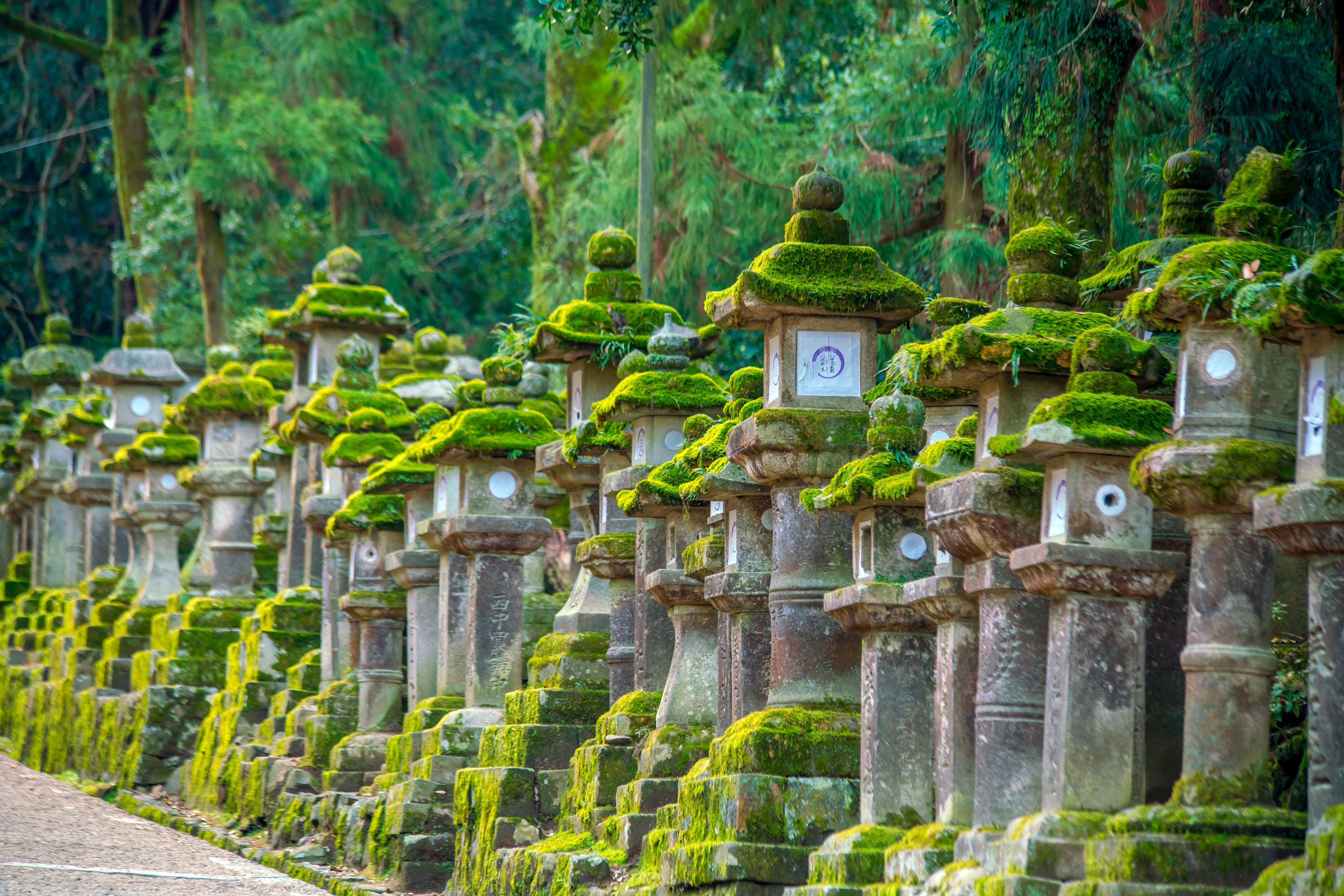 Japanske lanterner ved Kasuga-taisha-helligdommen i Nara.