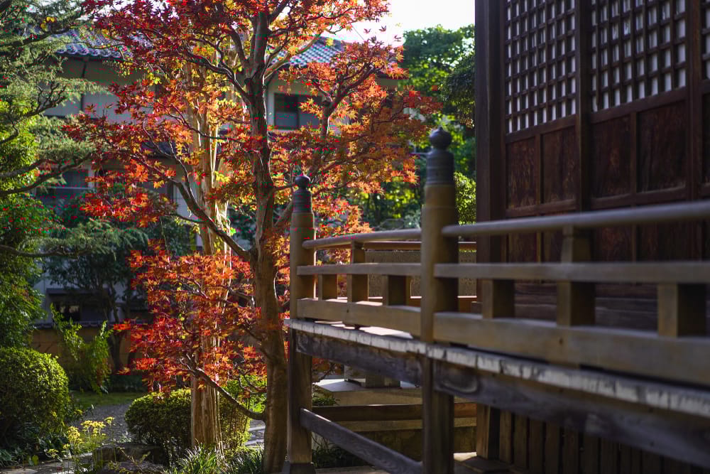 Smuk efterårsudsigt ved et tempel nær Kinosaki Onsen i Japan, omgivet af træer i røde og gyldne farver