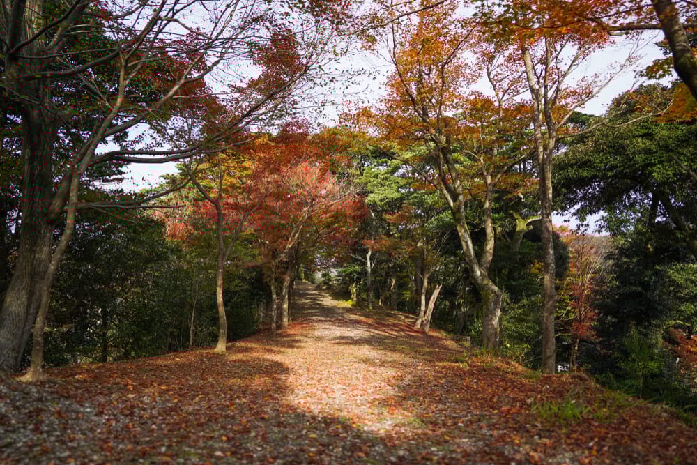 Farverig efterårsudsigt over Hirashiyama Park i Kinosaki