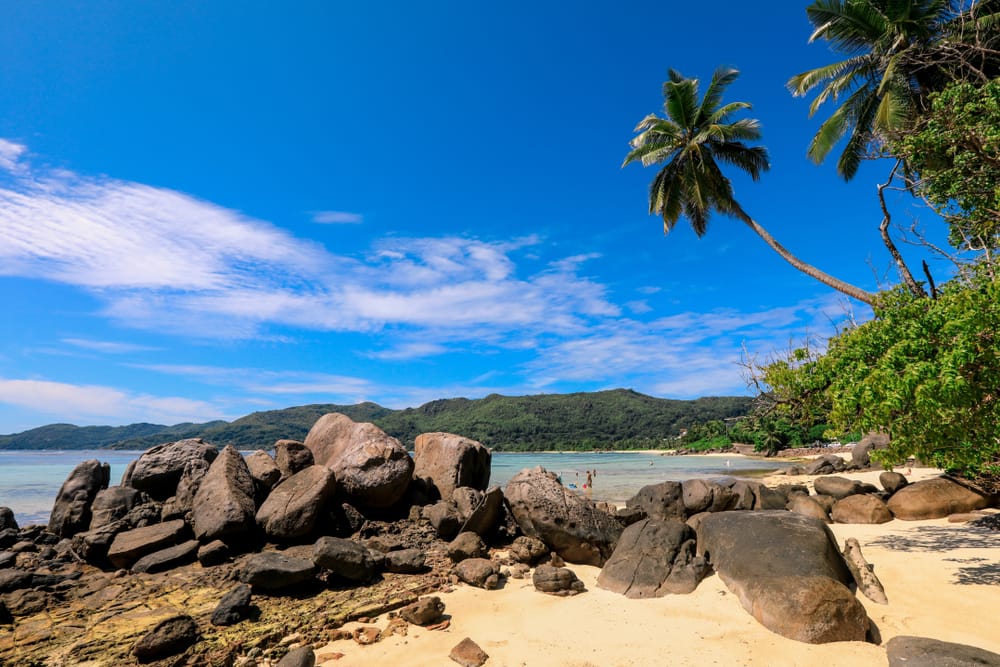 Luksusstrand med palmer og hvidt sand