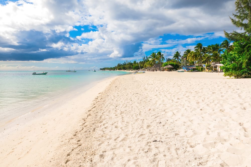Lækker tropisk strand ved Flic en Flac » Tembo Travel Lækker tropisk strand ved Flic en Flac