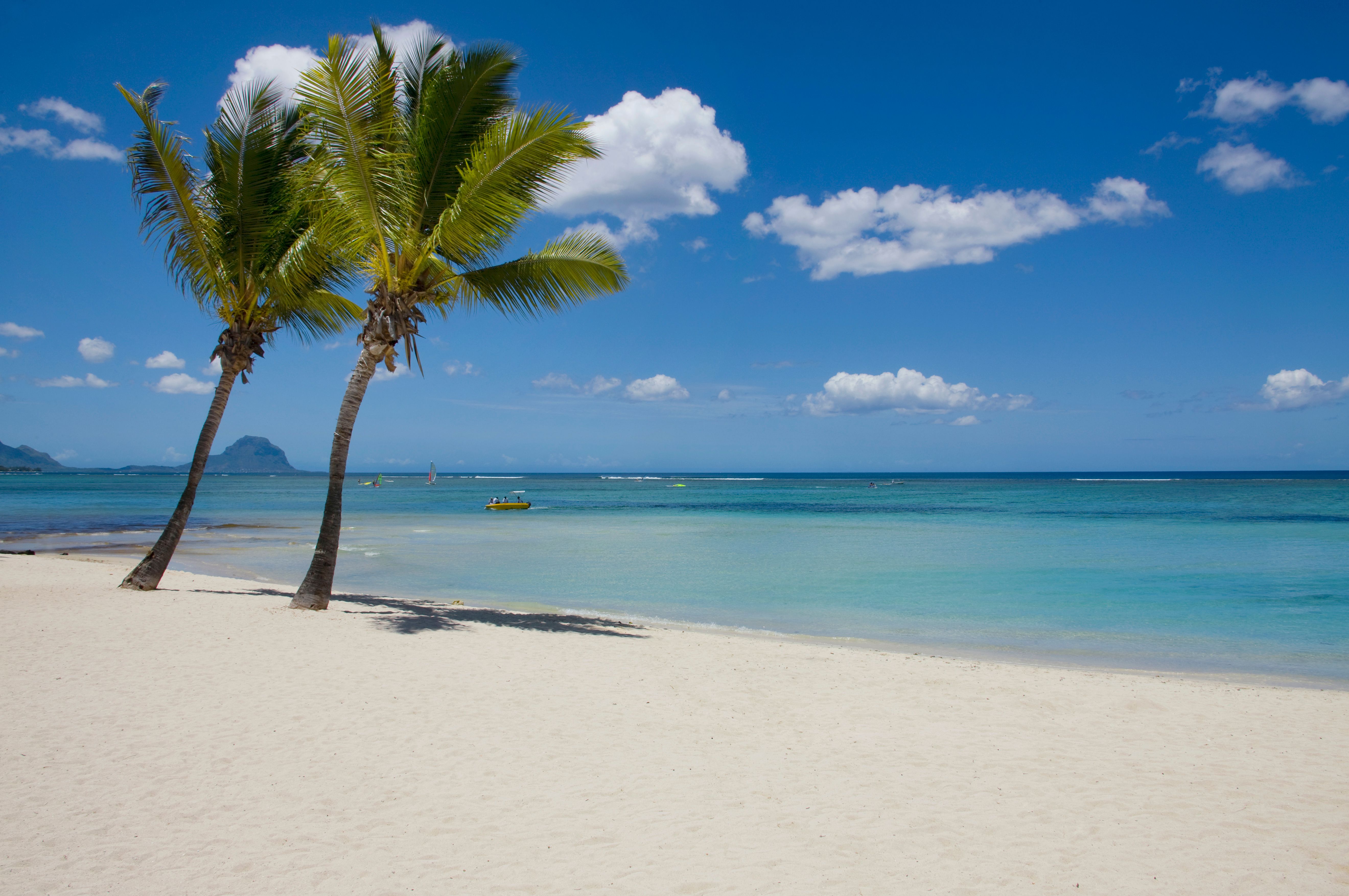 Flic en Flac strand med palmer » Tembo Travel Flic en Flac strand med palmer