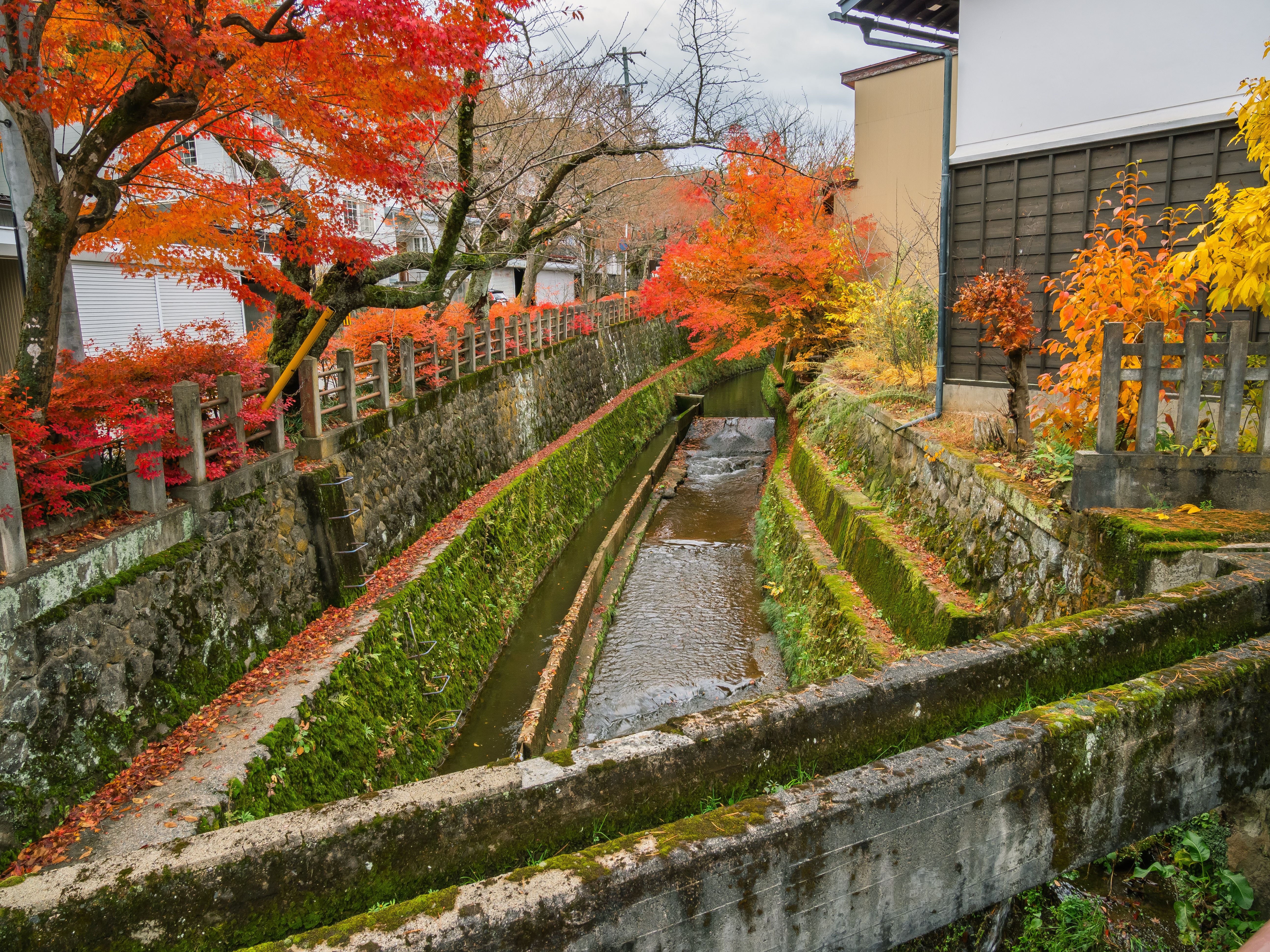 Flod i Sanmachi-distriktet i Takayama, Japan.