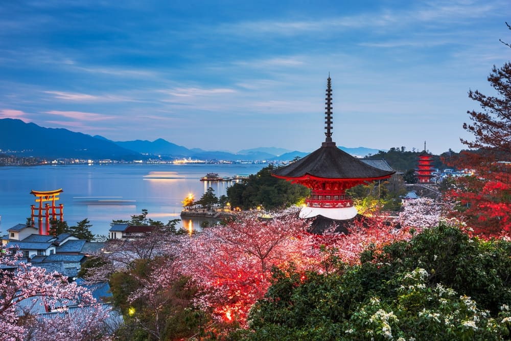 Miyajima Island i Hiroshima, Japan, set en forårsaften i skumringen med kirsebærblomster og den ikoniske torii-port i havet