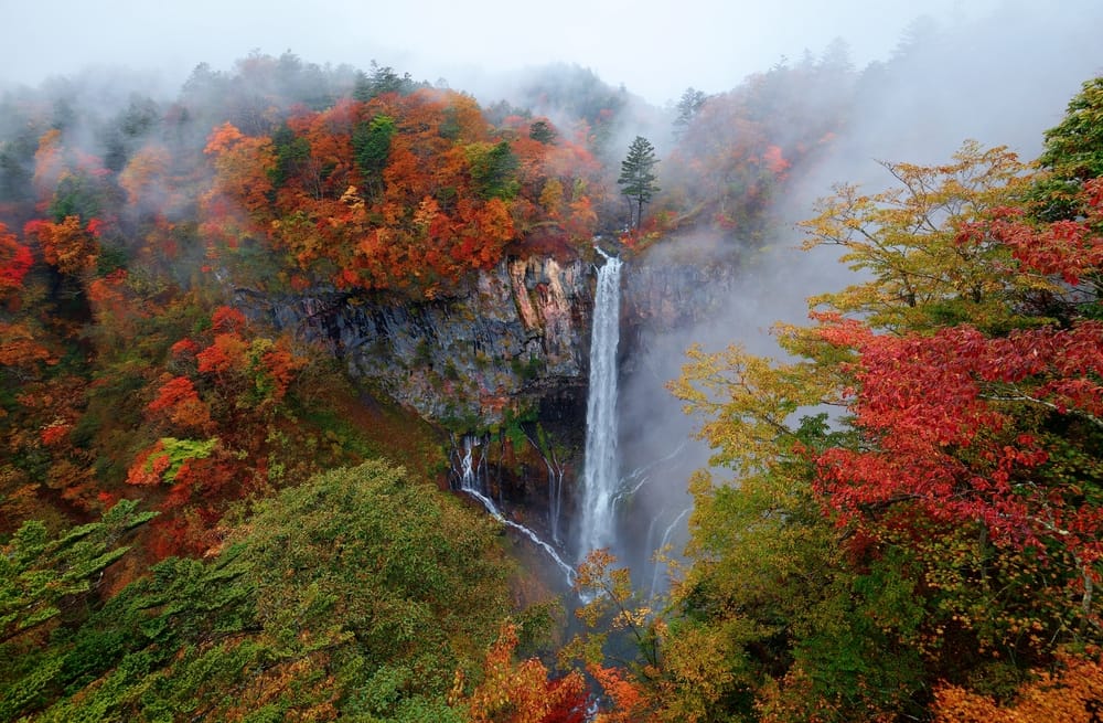 Udsigt til Kegon-vandfaldet i Nikko, Japan, hvor vandet falder dramatisk ned fra klipperne omgivet af frodig natur