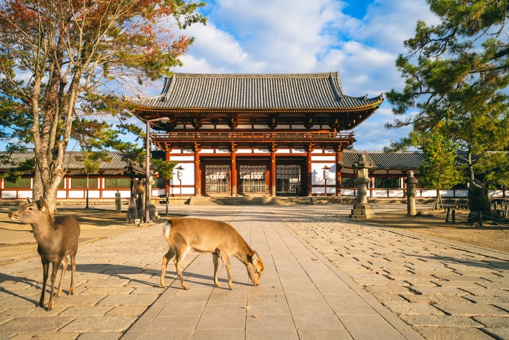 Midterporten til Tōdai-ji, Det Østlige Store Tempel, i Nara, Japan.