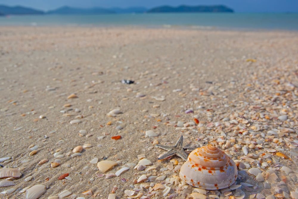 Langkawi Strand