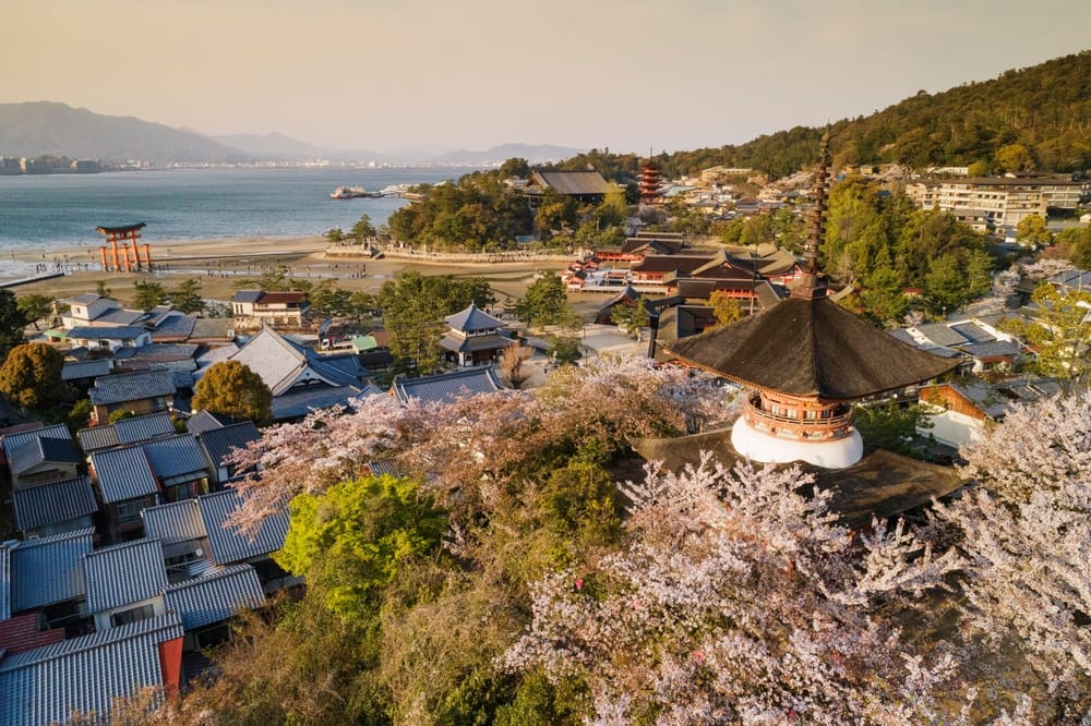Kirsebærblomstring på Miyajima-øen i Hiroshima-præfekturet på Honshu, Japan, Asien.