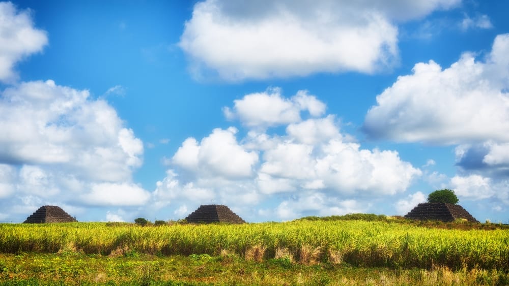 Gamle vulkanske stenspyramider omgivet af grønne sukkerrørsmarker på Mauritius.