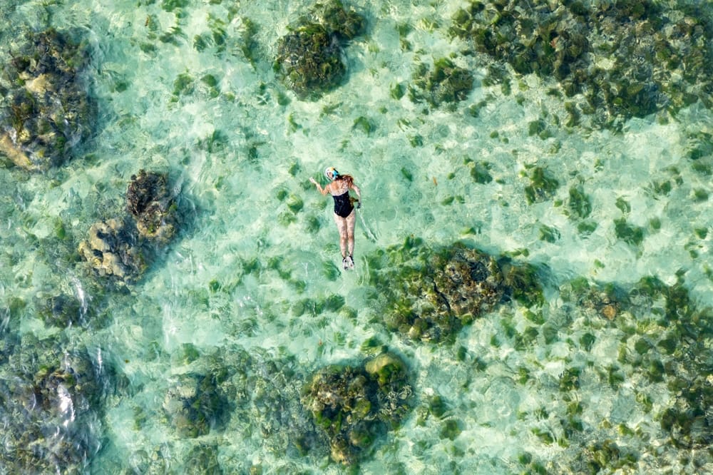 Snorkling ved Mauritius