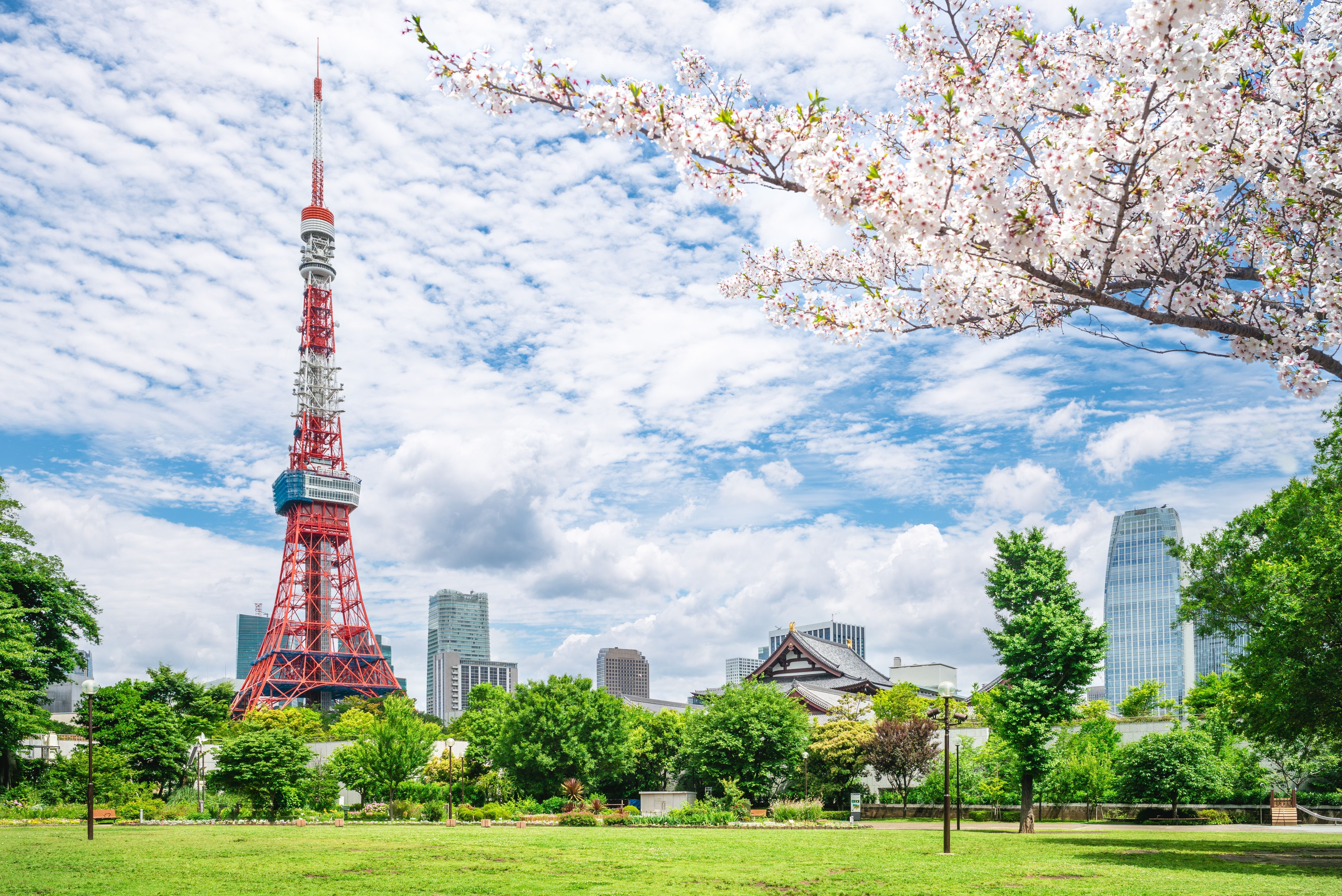 Hovedhallen i Zojoji-templet og Tokyo Tower i Japans hovedstad Tokyo.