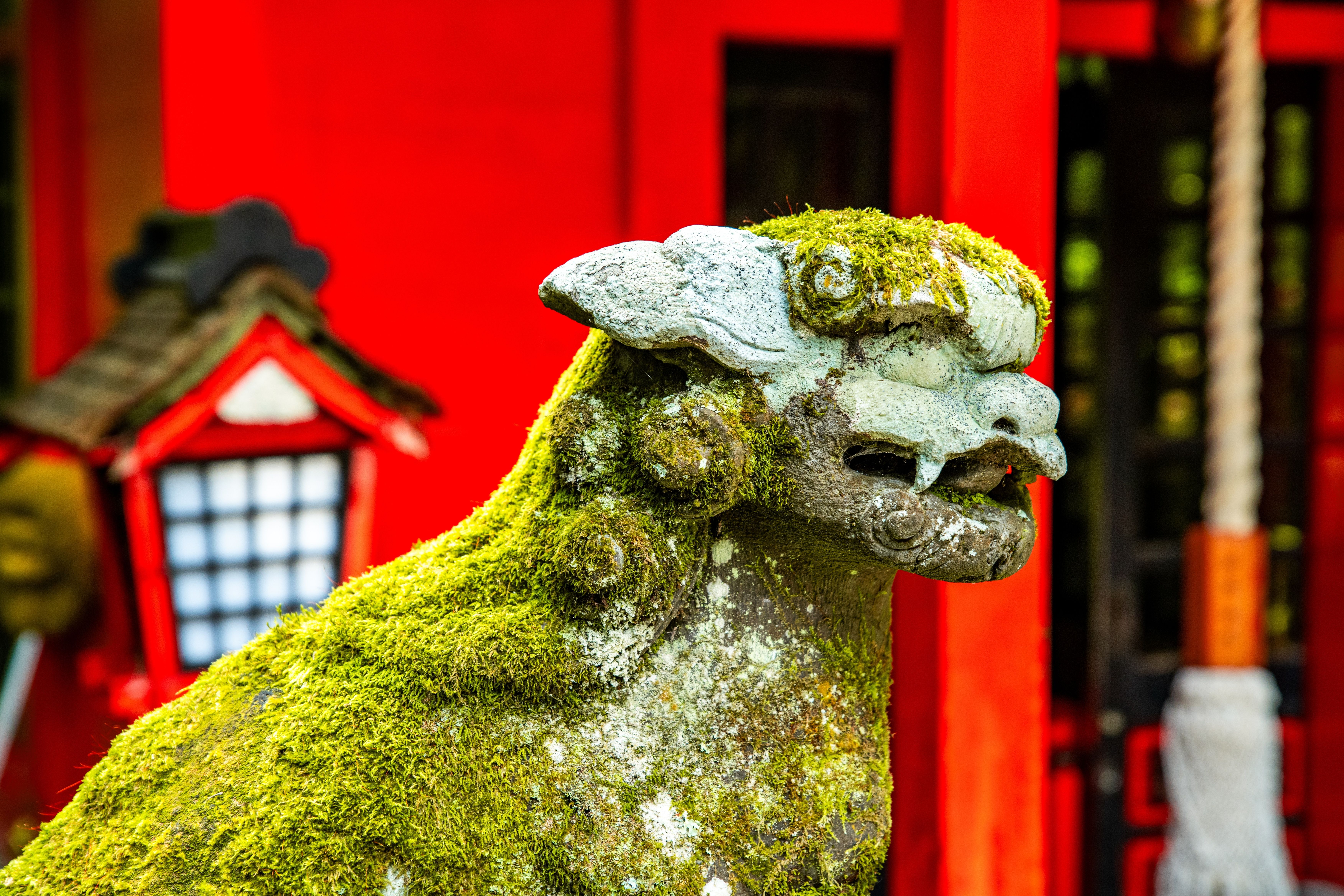 Kuzuryu-helligdommen i Hakone, Kanagawa, Japan.