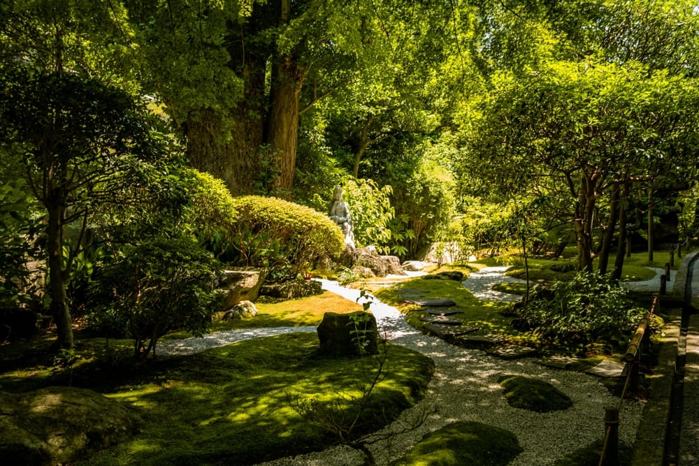 Bambusskoven ved Hōkoku-ji-templet i Kamakura, Kanagawa-præfekturet, Japan, kendt for sin rolige atmosfære og smukke natur
