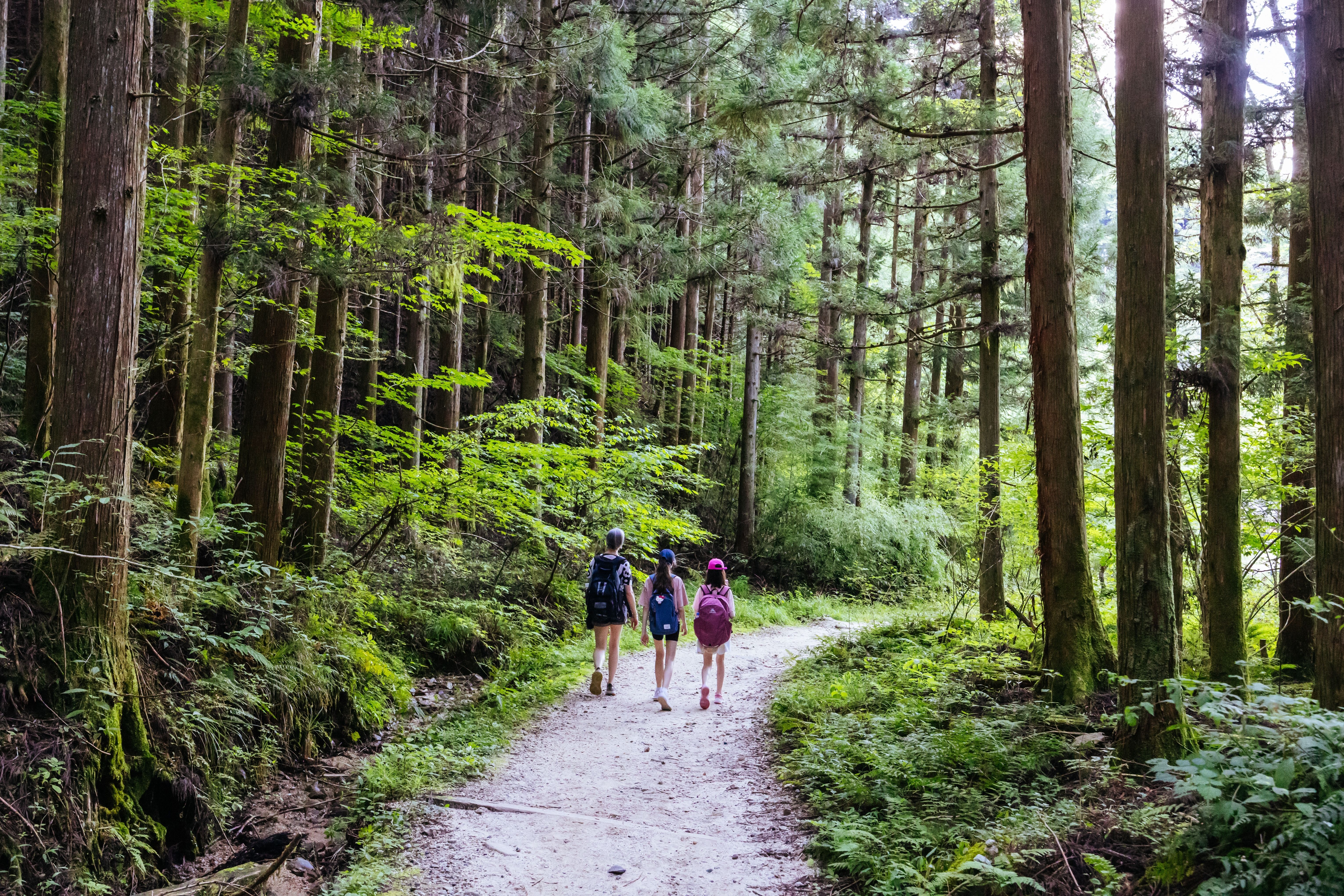 Vandrestier på Magome-Tsumago Trail, en del af Nakasendo Way i Gifu, Japan.