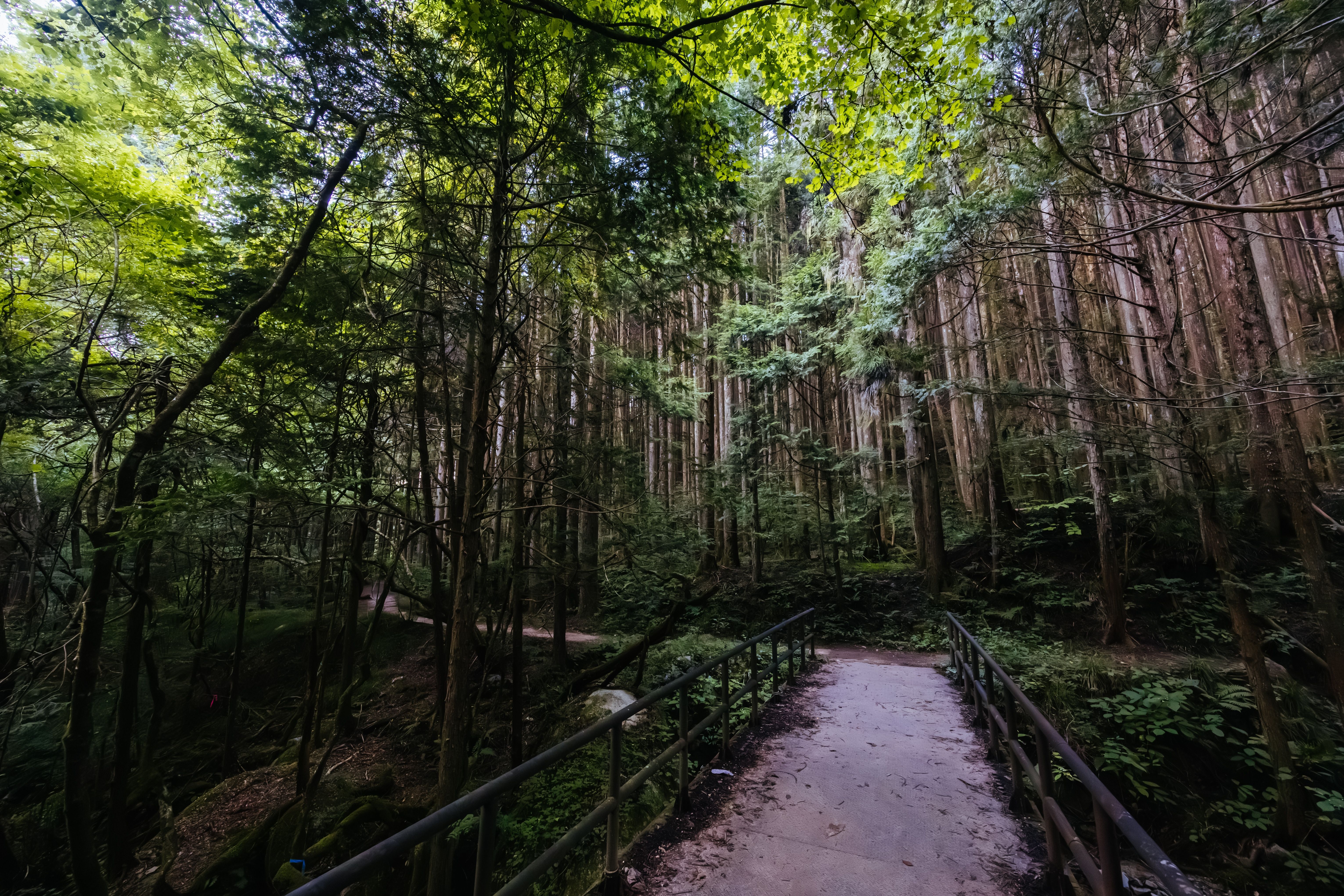 Magome-Tsumago Trail på Nakasendo Way i Gifu, Japan.