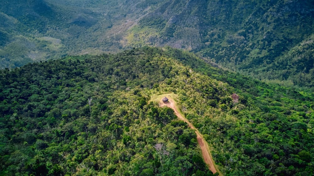 Luftfoto af Black River Gorges – den sidste store naturskov på Mauritius.