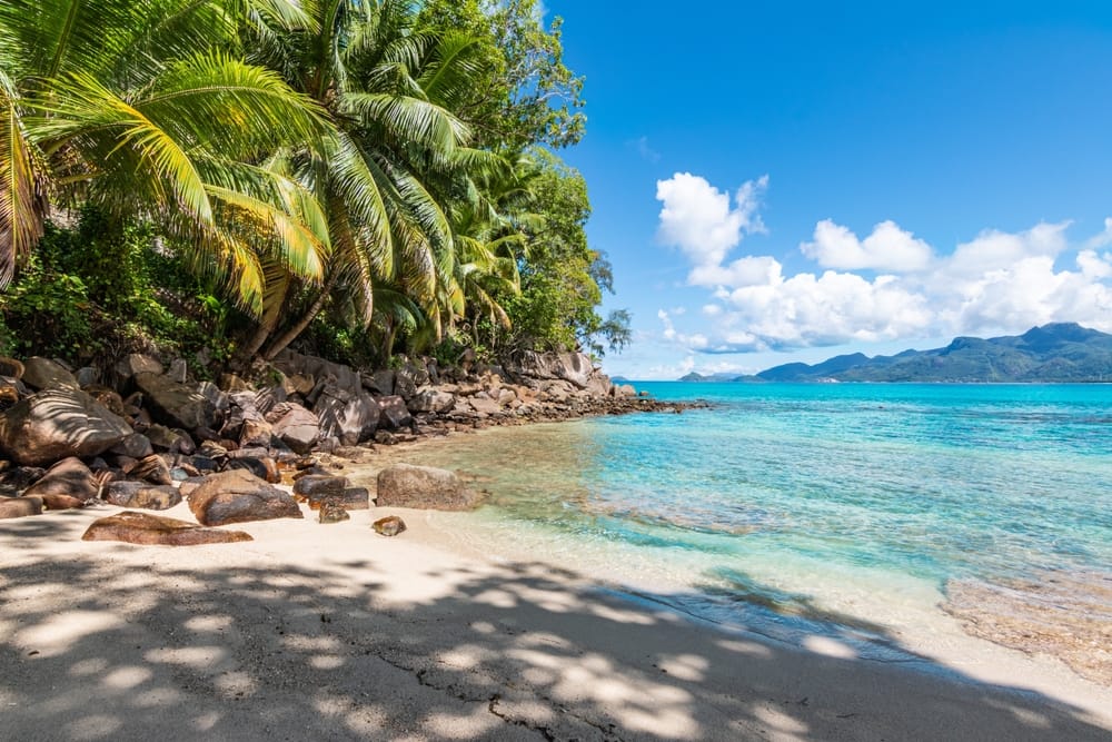 Smuk strand med sten ved Mahé Island