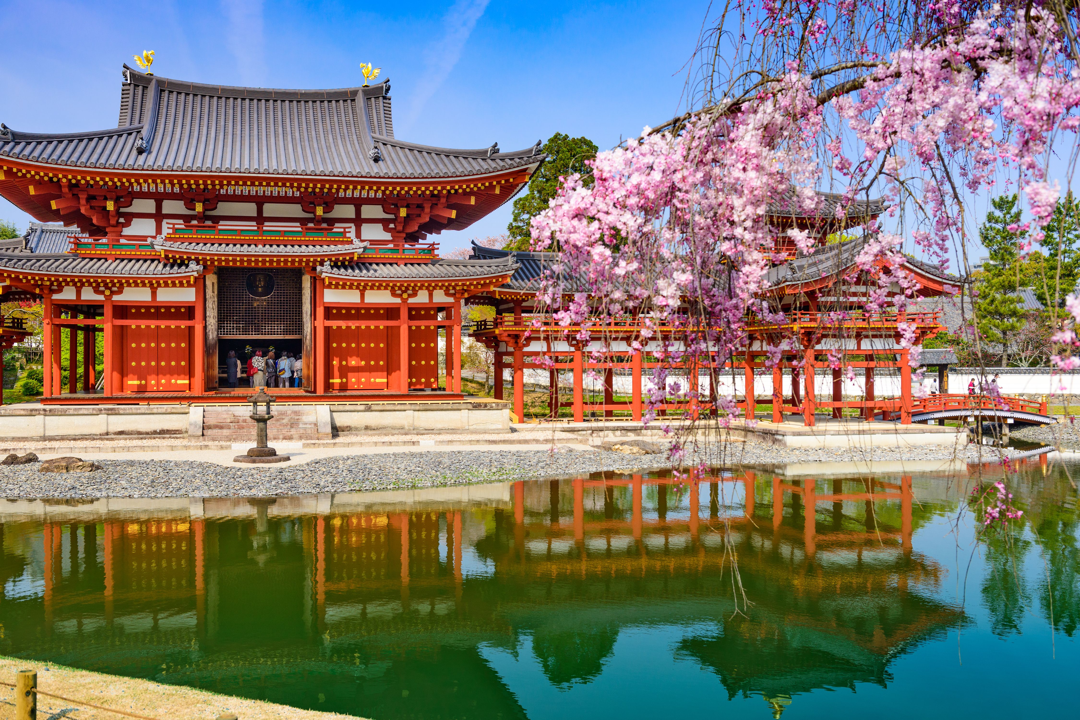 Byodo-in-templet i Uji, Kyoto, Japan om foråret.