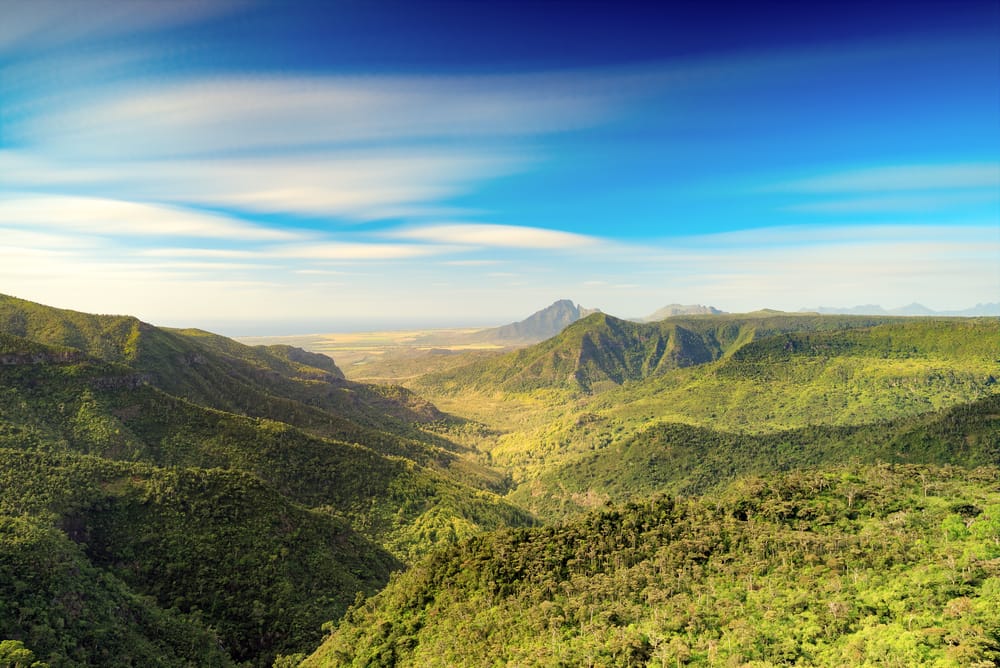 Panoramisk udsigt over Black River Gorges’ frodige landskab fra Gorges Viewpoint.