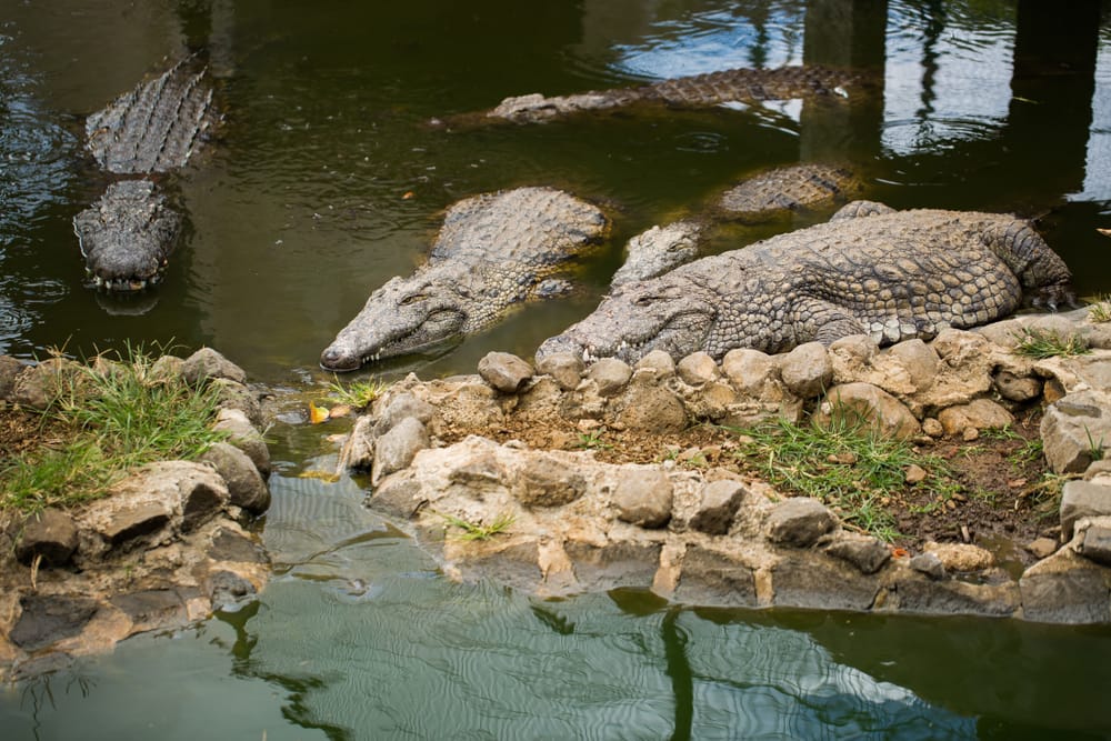 La Vanilla Nationalpark