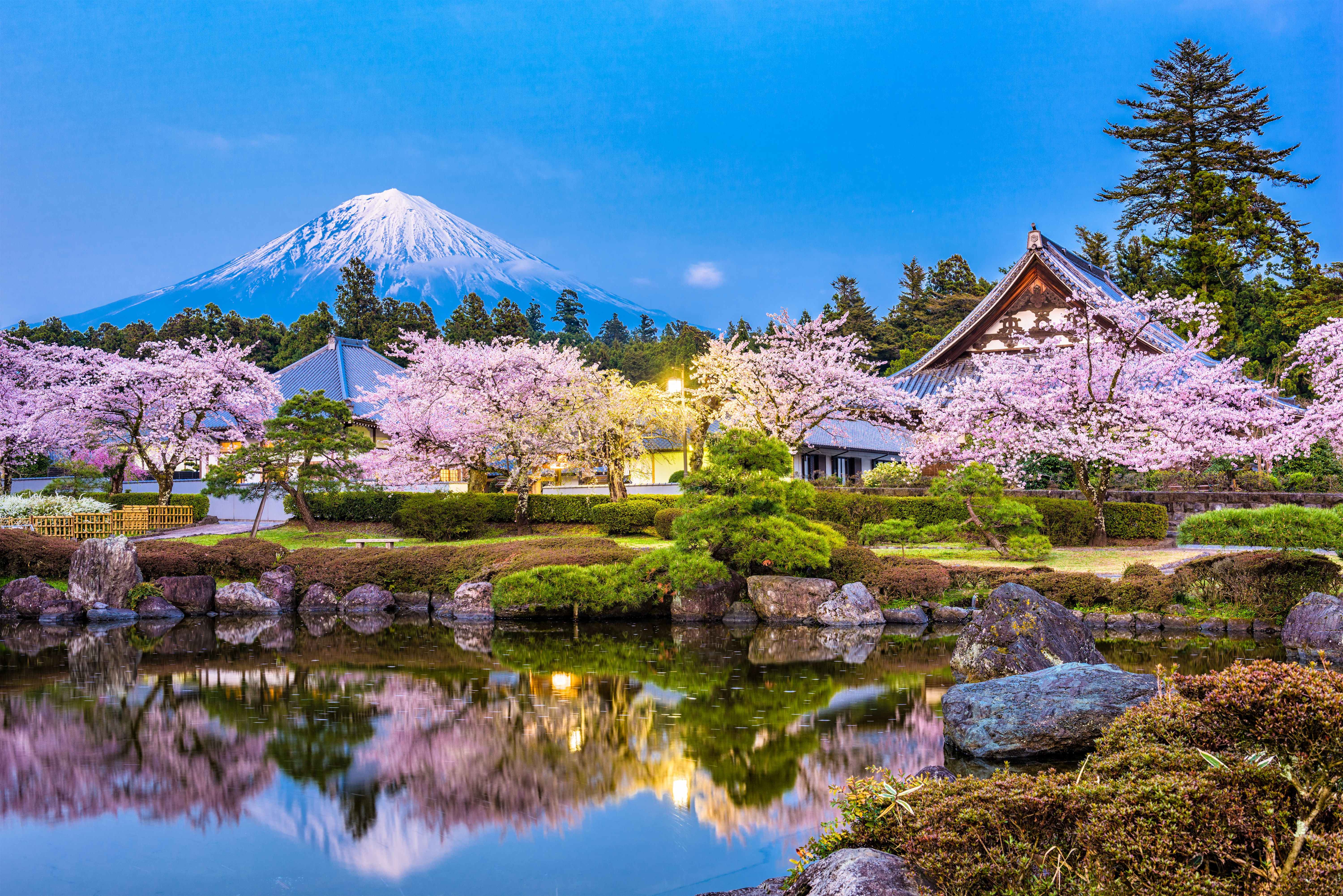 Mt. Fuji og templer i Fujinomiya, Shizuoka, om foråret.