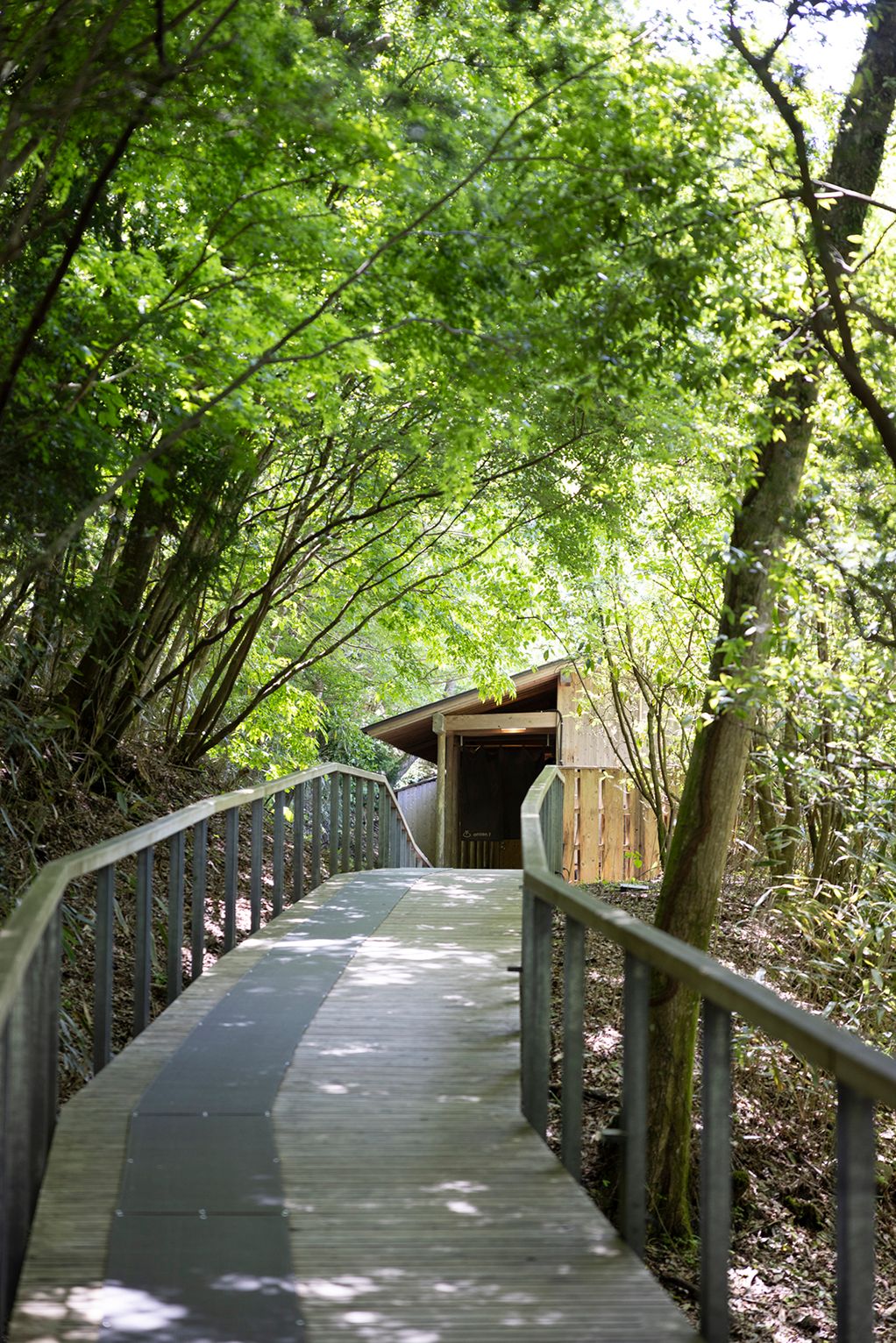Hakone Retreat Före, natur