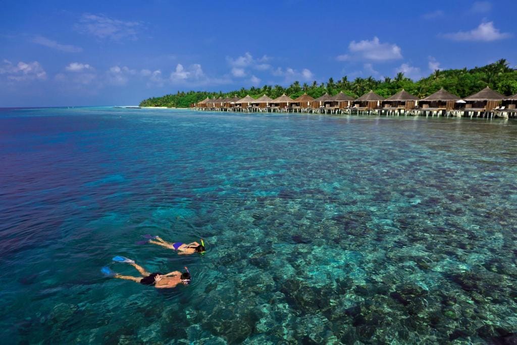 Snorkling ved koralrevet på Kuramathi Maldives med klart vand og villaer i baggrunden.