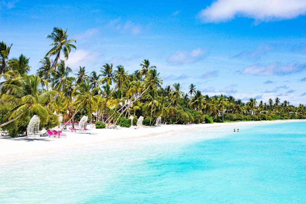Tropisk strand med palmer og turkisblåt hav på Kandima Maldives