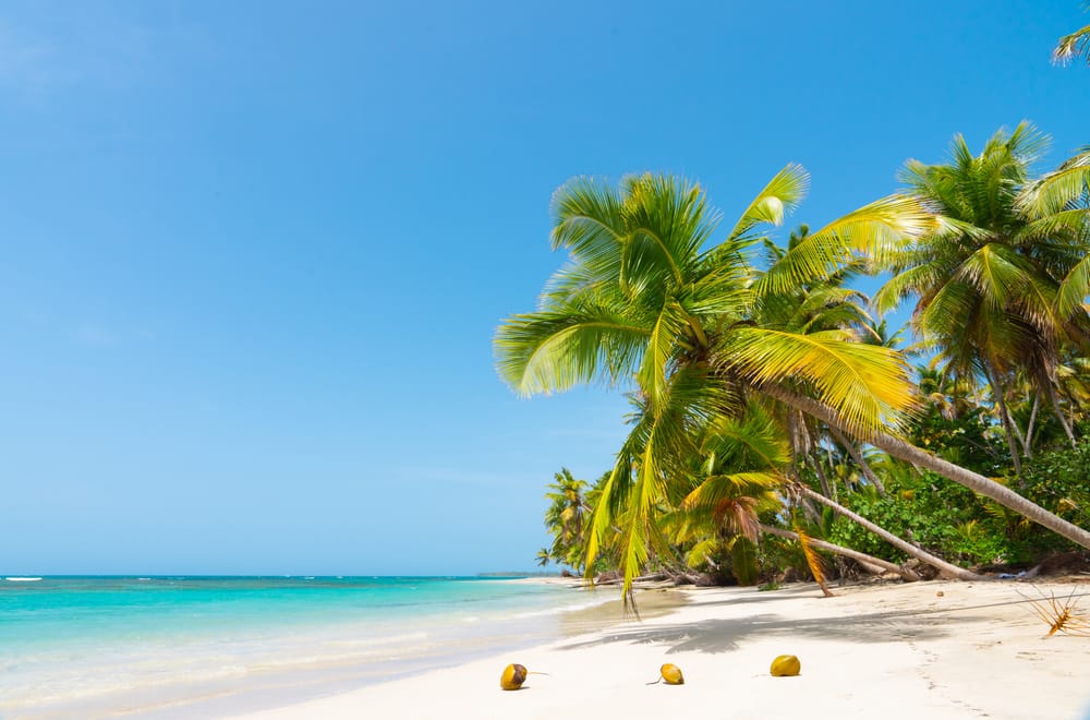 Hvid sandstrand med palmer ved Seminyak Beach, Bali, Indonesien, under klar blå himmel.