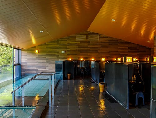 Hakone Kowakien TEN-YU onsen