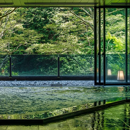 Hakone Kowakien TEN-YU udsigt