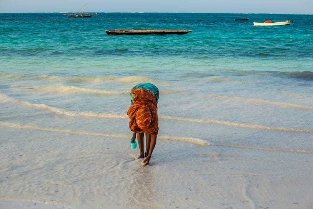 Lavvande på stranden i Nungwi Village, hvor en lokal pige samler skaller i det lave vand omgivet af koralrev og blødt sand.
