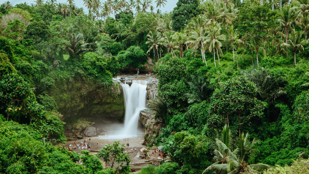 Tegenungan Waterfall i Ubud, Bali, Indonesien, med brusende vand omgivet af grøn jungle.