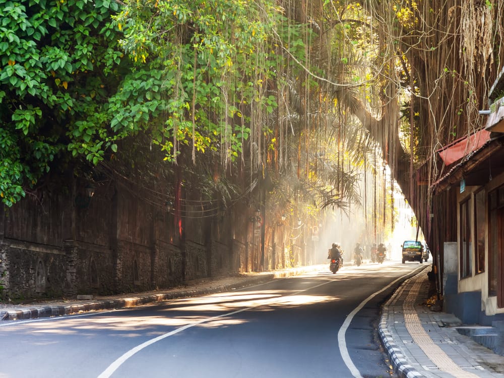 Snoet gade gennem Ubud, Bali, Indonesien, med motorcyklist omgivet af butikker, træer og balinesisk byliv.
