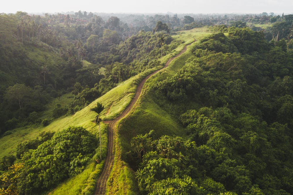 Luftfoto af Campuhan Ridge Walk i Ubud, Bali – en smuk grøn højderyg omgivet af frodig jungle og rislende floddale.