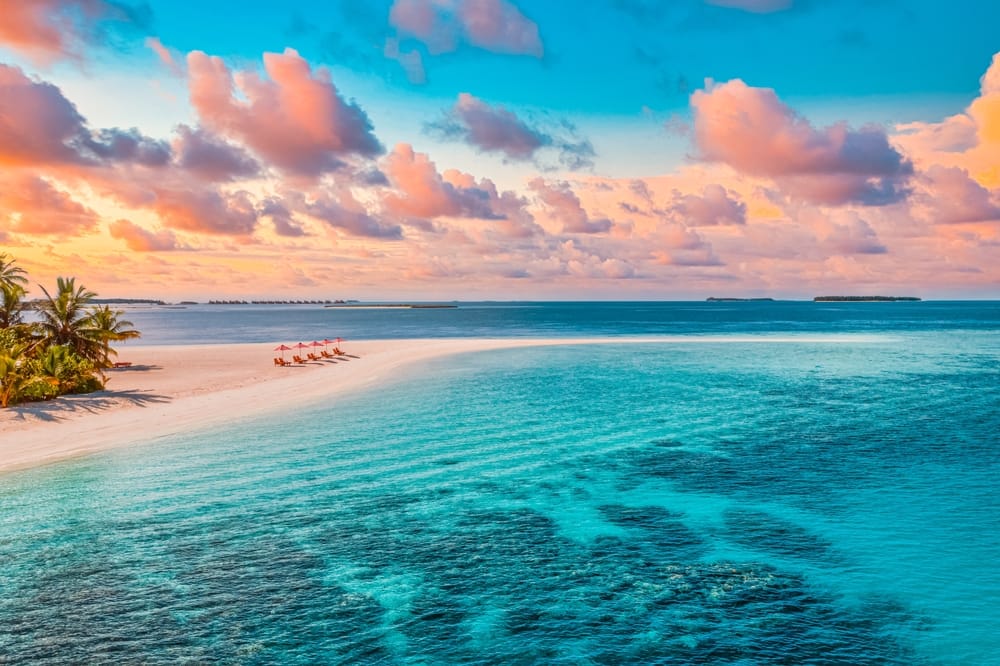 Top-down billede af strand på Maldiverne med solsenge og parasoller tæt ved det klare vand.
