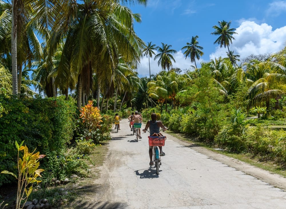 Mennesker der cykler på La Digue Island, Seychellerne, omgivet af palmer, tropisk natur og solskin på en fredelig øvej.