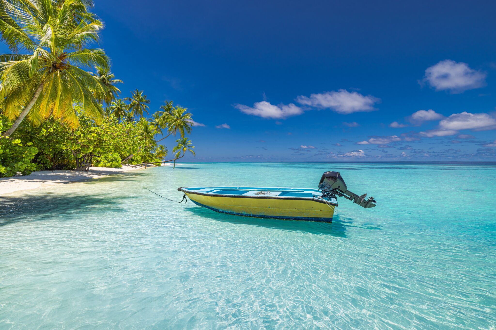 Billede af en maldivisk sandstrand med grønne kokospalmer og klart vand langs kysten.