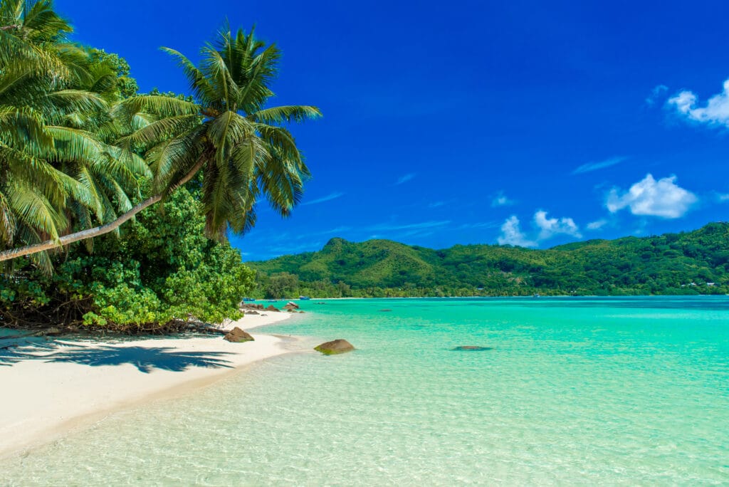 Anse à la Mouche – En rolig paradisstrand på Mahé, Seychellerne, hvor turkisblåt hav møder blødt, hvidt sand. Et ideelt sted til afslapning, svømning og at nyde den tropiske ro.