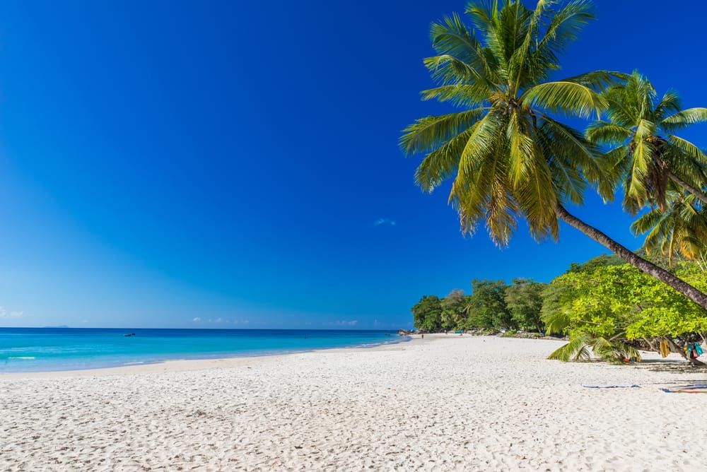 Udsigt over Baie Beau Vallon-stranden på øen Mahé i Seychellerne med turkisblåt hav, hvidt sand og grønne palmer under en klar blå himmel.